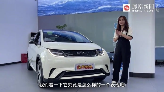 降价了！省心又好养，探店比亚迪海豚