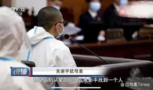 吴谢宇案一审庭审（视频截图）