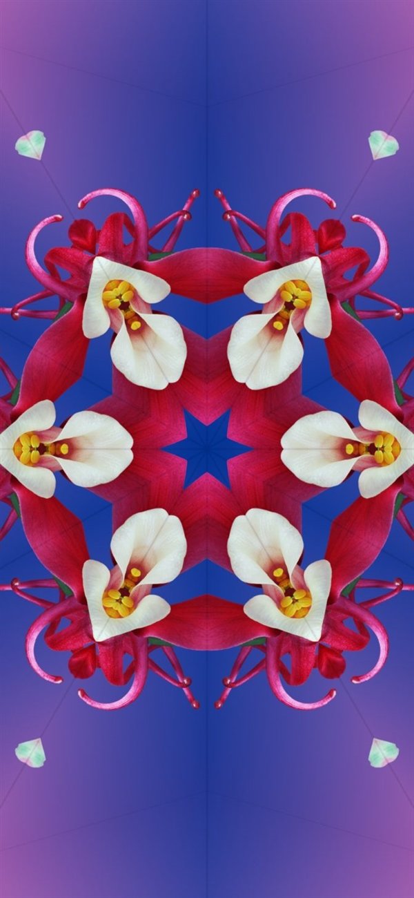 提前感受iPhone 15!iOS 17全新壁纸免费下载