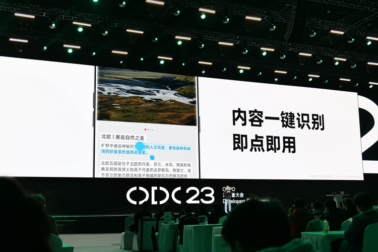 P1006773.JPG