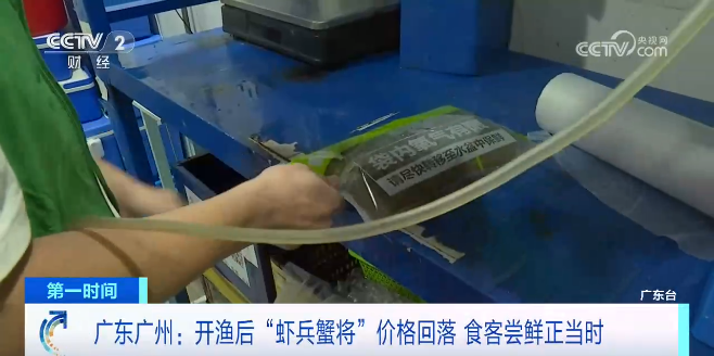 价格“腰斩”！这些海鲜，一斤便宜近百元丨便宜一点的海鲜品种大全