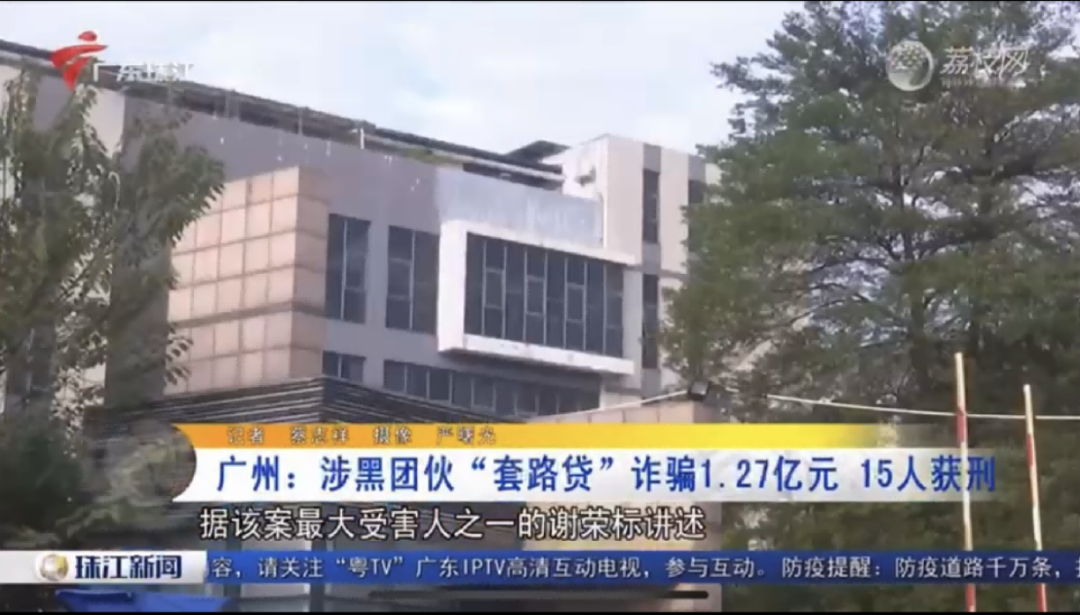 广东媒体对“广州第一套路贷案”的报道( 电视节目截屏画面)