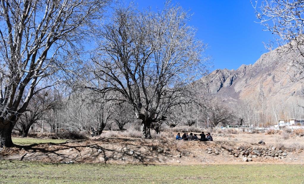 山南市加查县拉岗村的村民在核桃树下聊天拉家常（2月1日摄）。新华社记者格桑边觉 摄