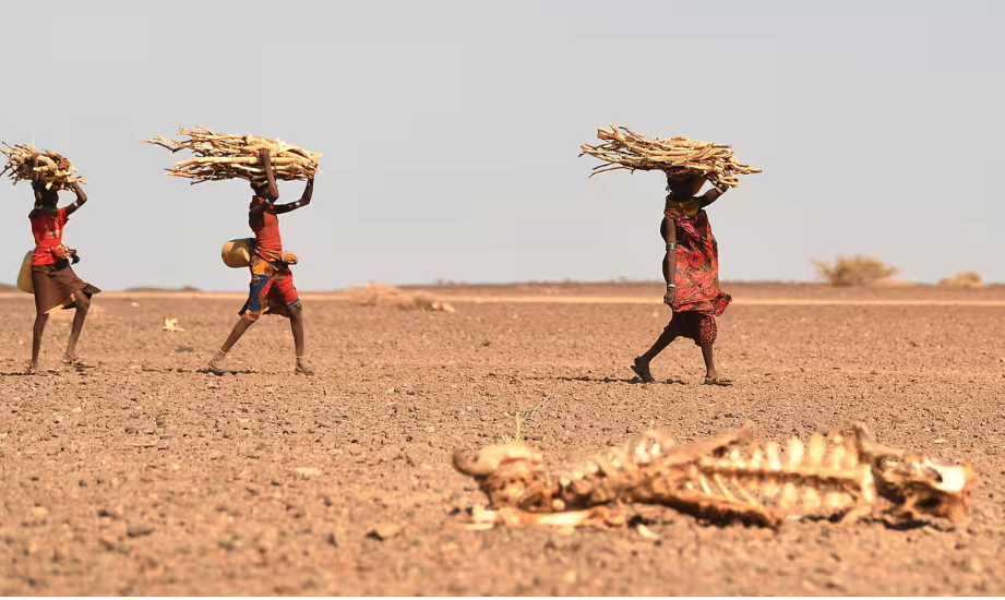 ◆非洲面临的粮食危机尤为严峻，援助也非长远之计。