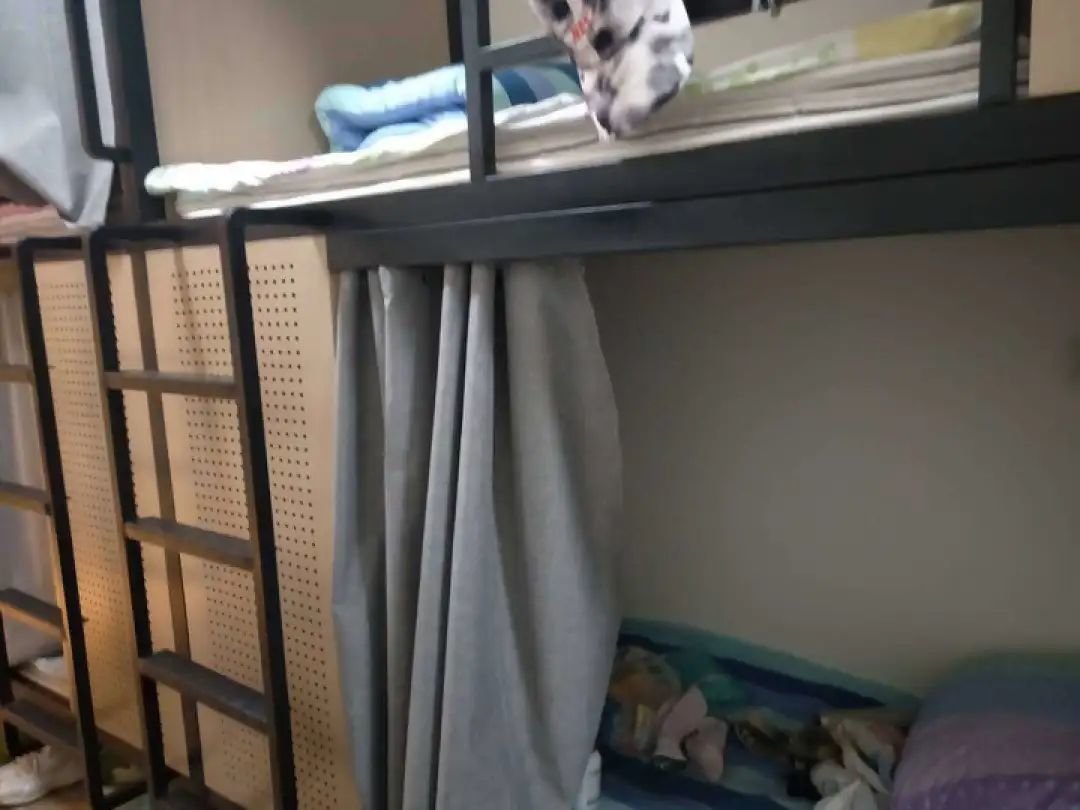 图/拥挤的6人寝室 来源/芳芳供图