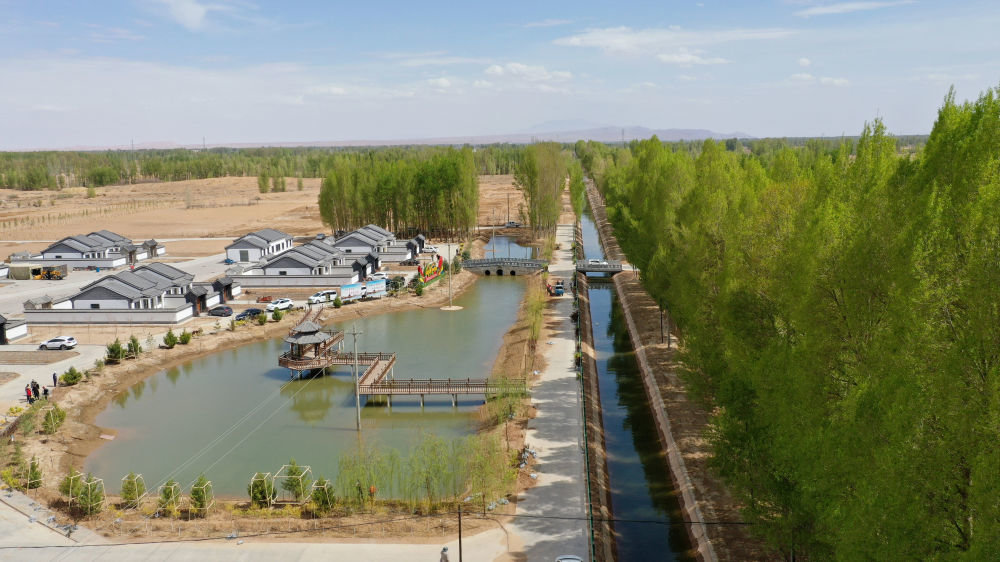 这是临泽县平川镇黄家堡村的水渠和水塘（4月14日摄，无人机照片）。新华社记者 陈斌 摄