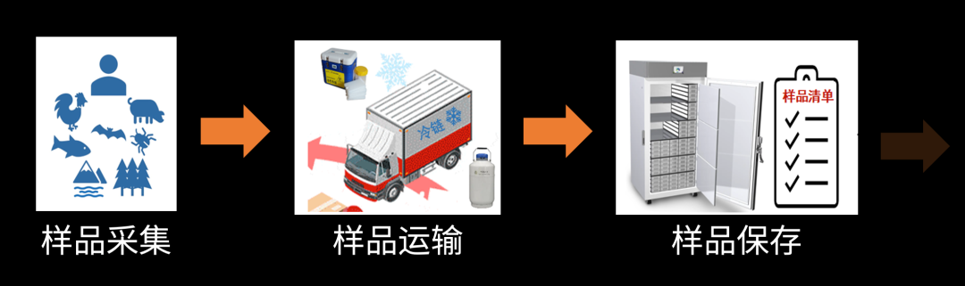 病毒学家张永振:未来5年还会不会出现新发突发传染病?可能规模不会像新冠这么大,但出现是必然