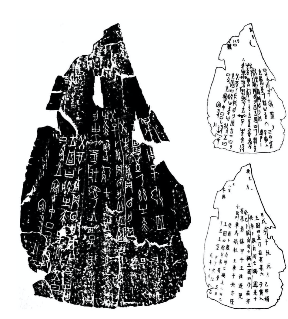 《甲骨文合集》221的拓片、摹片、片形