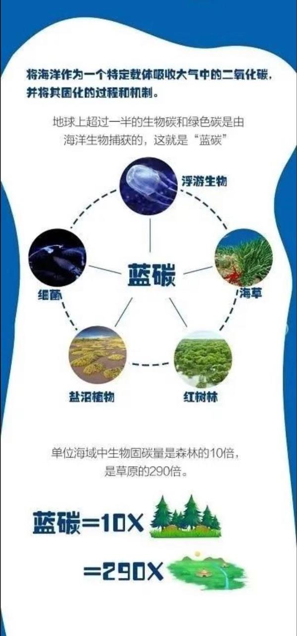 全国首单“蓝碳”拍卖将在浙江象山举行，每吨30元起拍