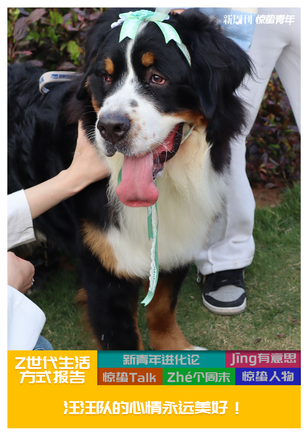 文明养犬，是所有爱犬人应该做到的。/由受访者提供