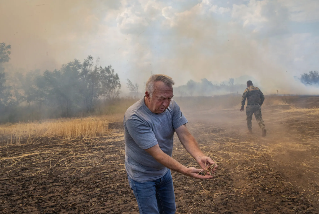 ◆战火摧毁了乌克兰的田野和农民的作物。