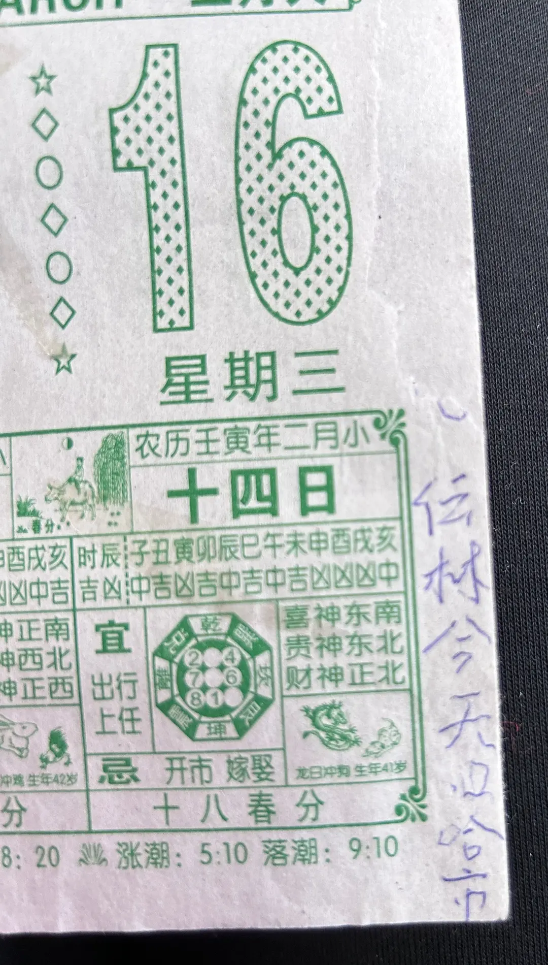 儿子今天回家咯