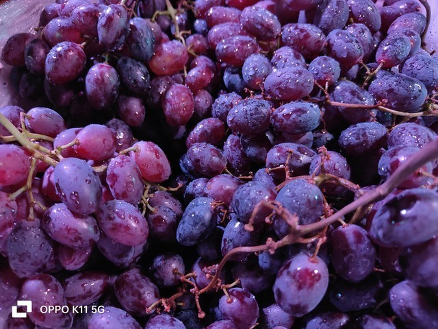 【有料评测】OPPO K11全面评测:超越同价位的旗舰影像