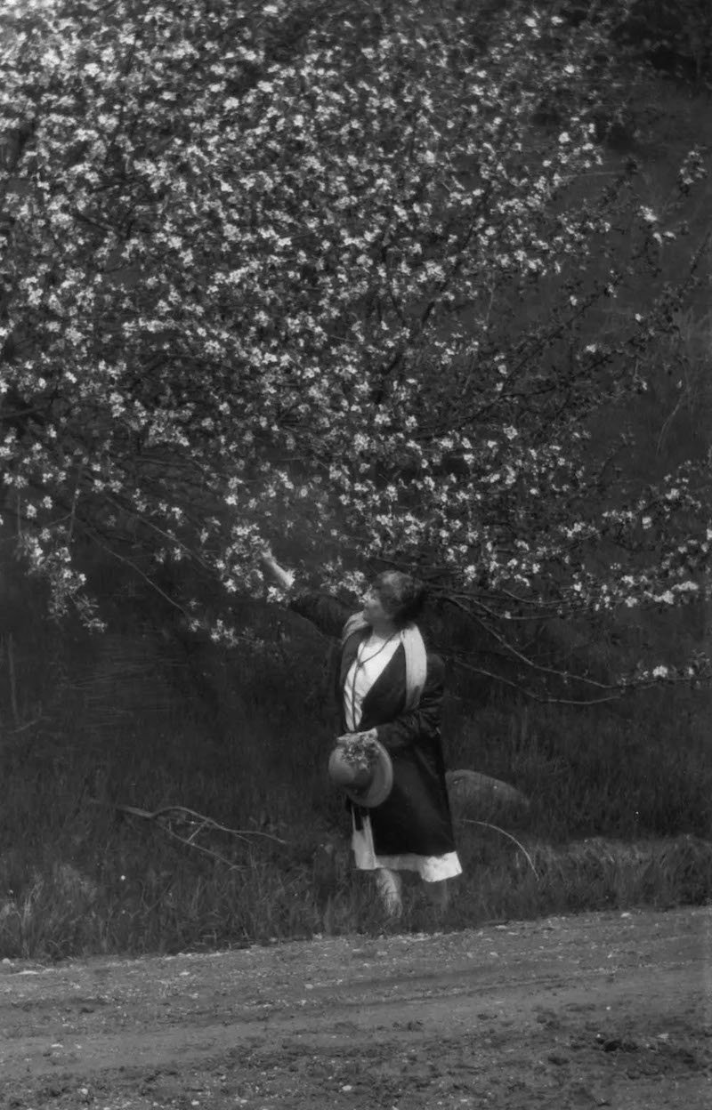 1930年代,蒙哥马利最后的爱德华王子岛之行
