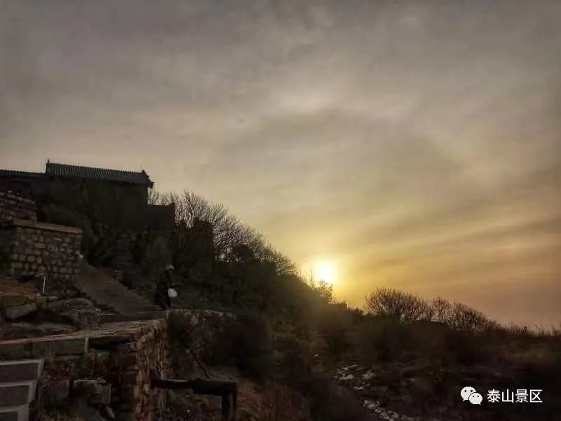 1月23日清晨,泰山之巅再现冰晕奇观。 “泰山景区”微信公众号图