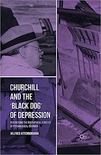 这本书的书名叫《丘吉尔和抑郁症的 