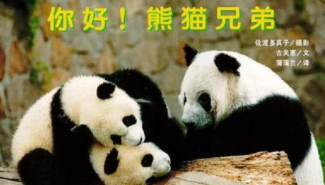 丫丫的母亲与两位兄弟