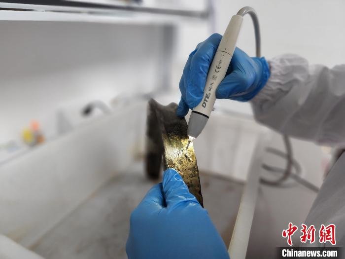 兰栋正在用洁牙机清洗文物表面。 赵晓 摄