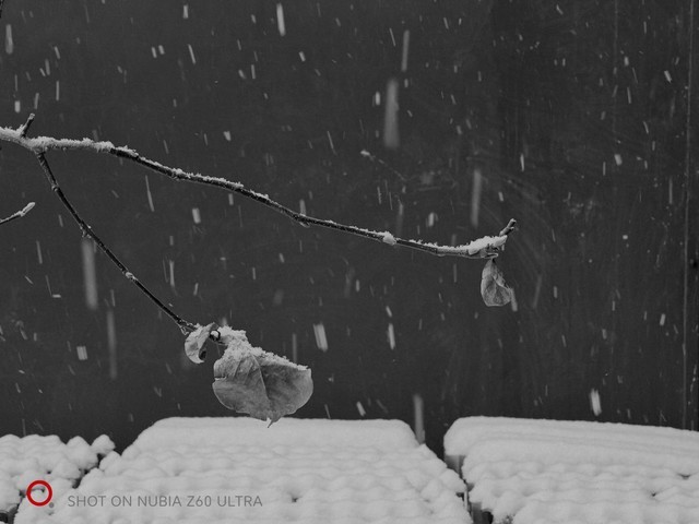 【有料评测】努比亚Z60 Ultra全面评测 特立独行的好旗舰