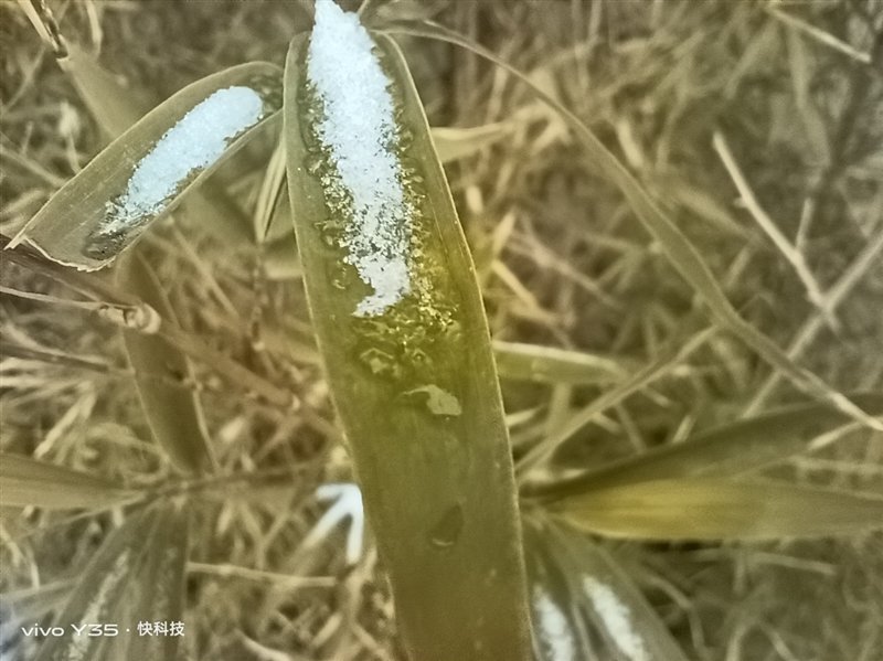 长续航兼顾大内存!vivo Y35评测:解锁千元级新体验