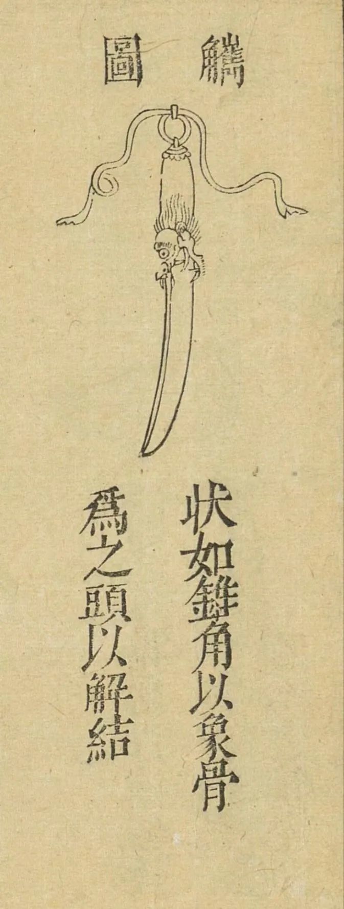 原来觽的功能竟如此深奥_凤凰网