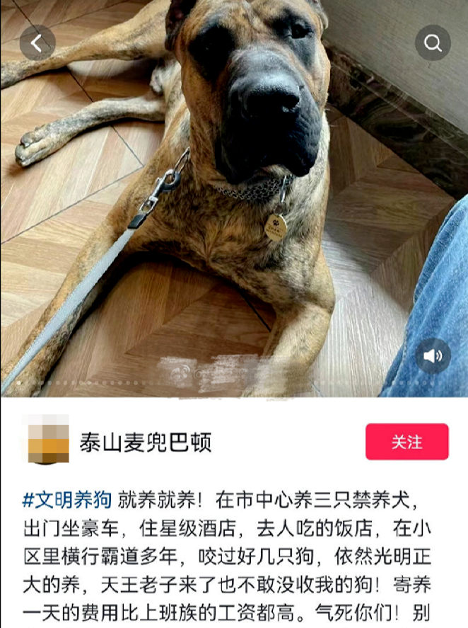 “泰山麦兜巴顿”发帖截图