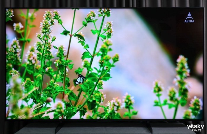 旗舰Mini LED电视守门员 85英寸TCL Q10H评测