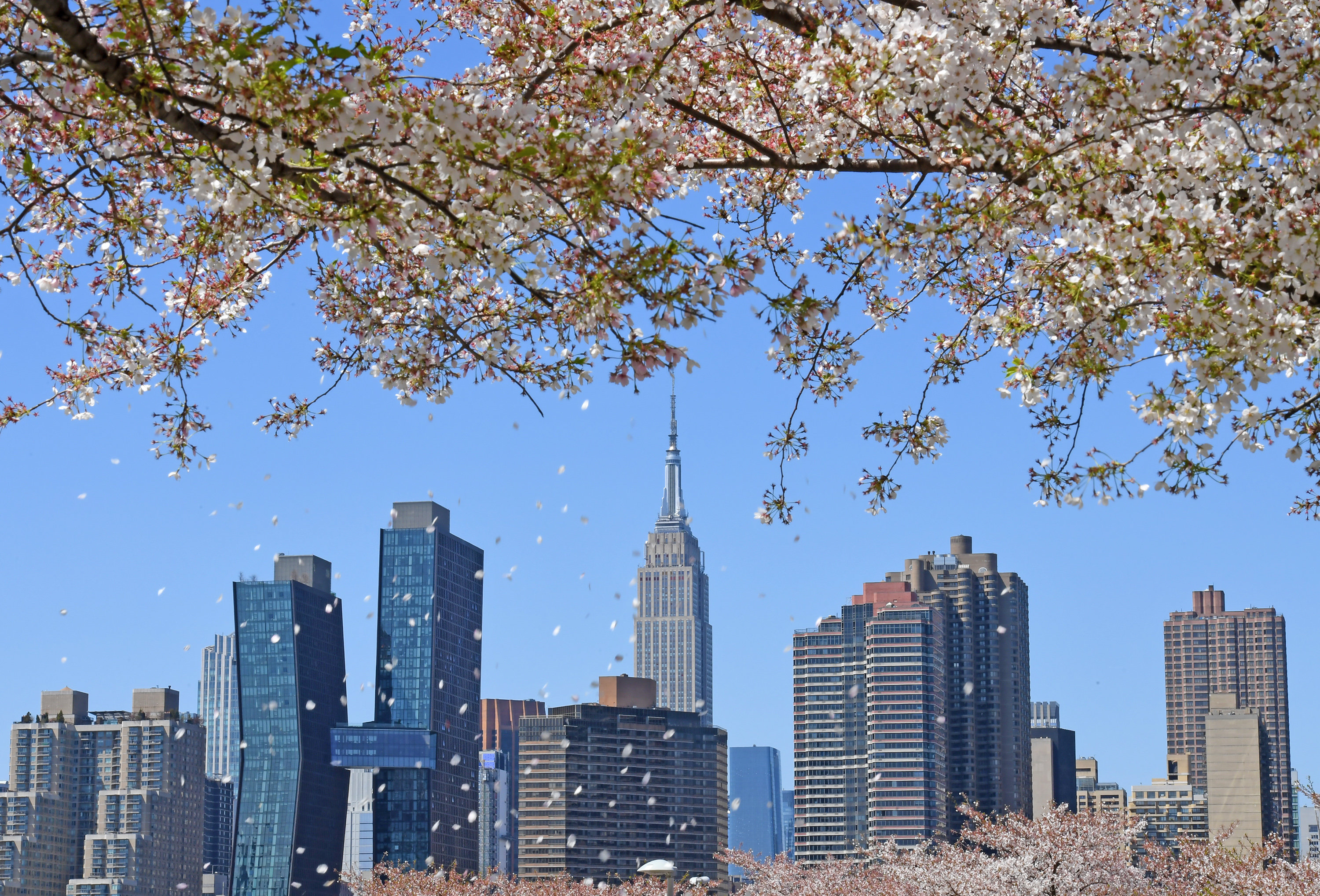 生意难做！美国城市尝试改写字楼为住宅_凤凰网