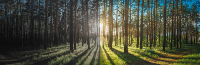 松下发布全画幅微单S5 M2、S5 M2X