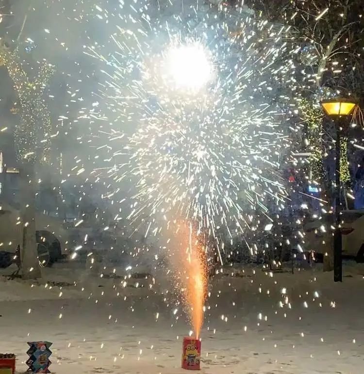 这个春节,我终于带新郎见到了爸妈