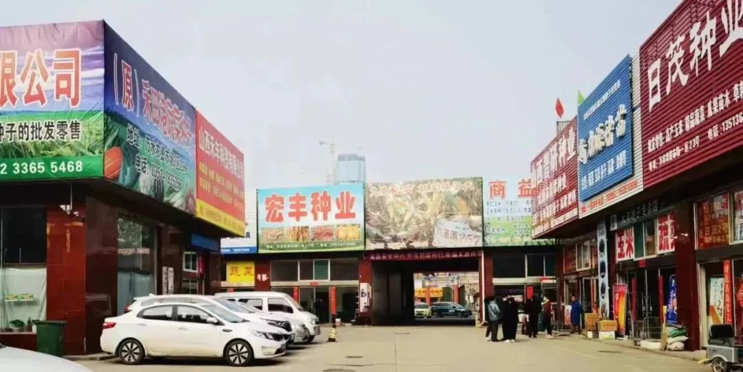 清洁用品市场变化与机遇