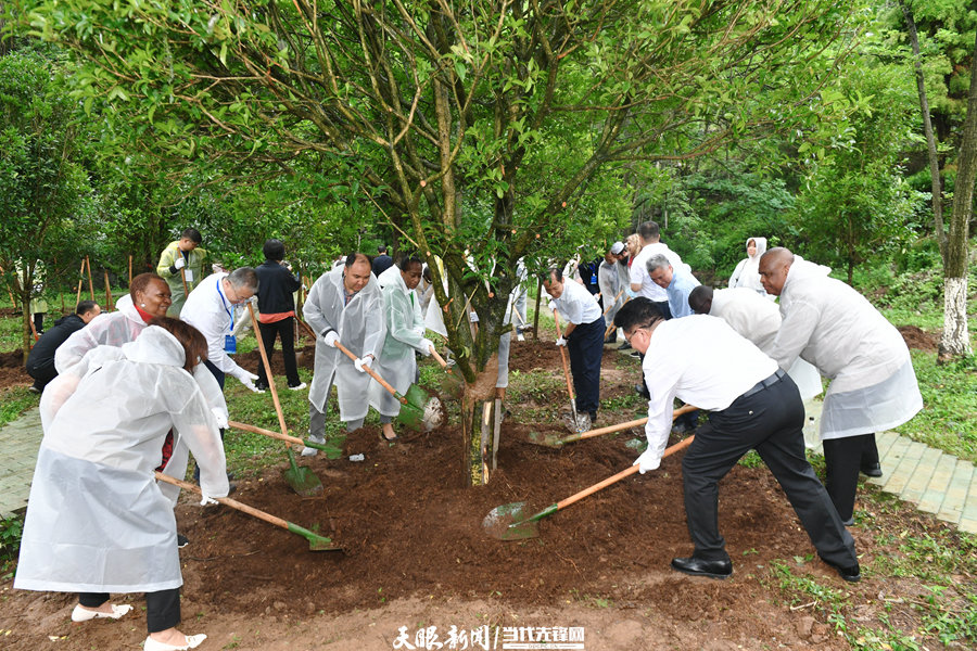 驻华使节共同种下国际生态友谊林。刘杨 摄.jpg