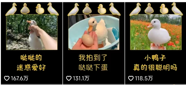 千万粉丝博主“恰不到饭”,流量躺平赚钱神话终结