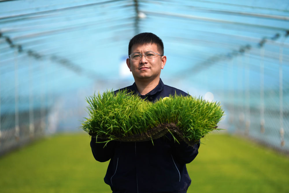 北大荒集团建三江分公司七星农场有限公司种植户陆向导手捧水稻秧苗（2022年5月18日摄）。新华社记者 王建威 摄