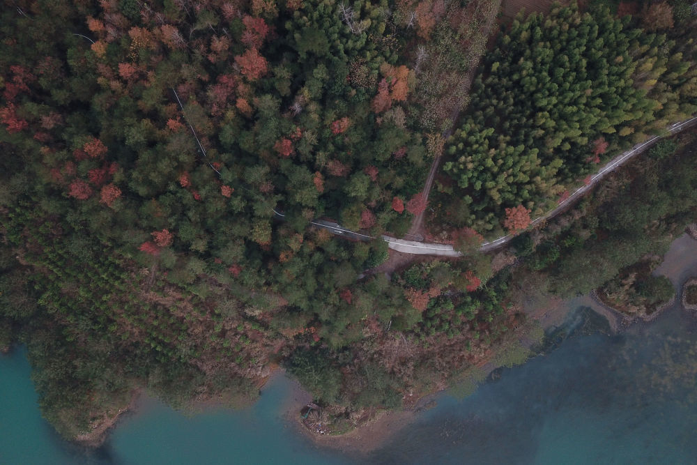 选手们参加神仙居绿道马拉松。