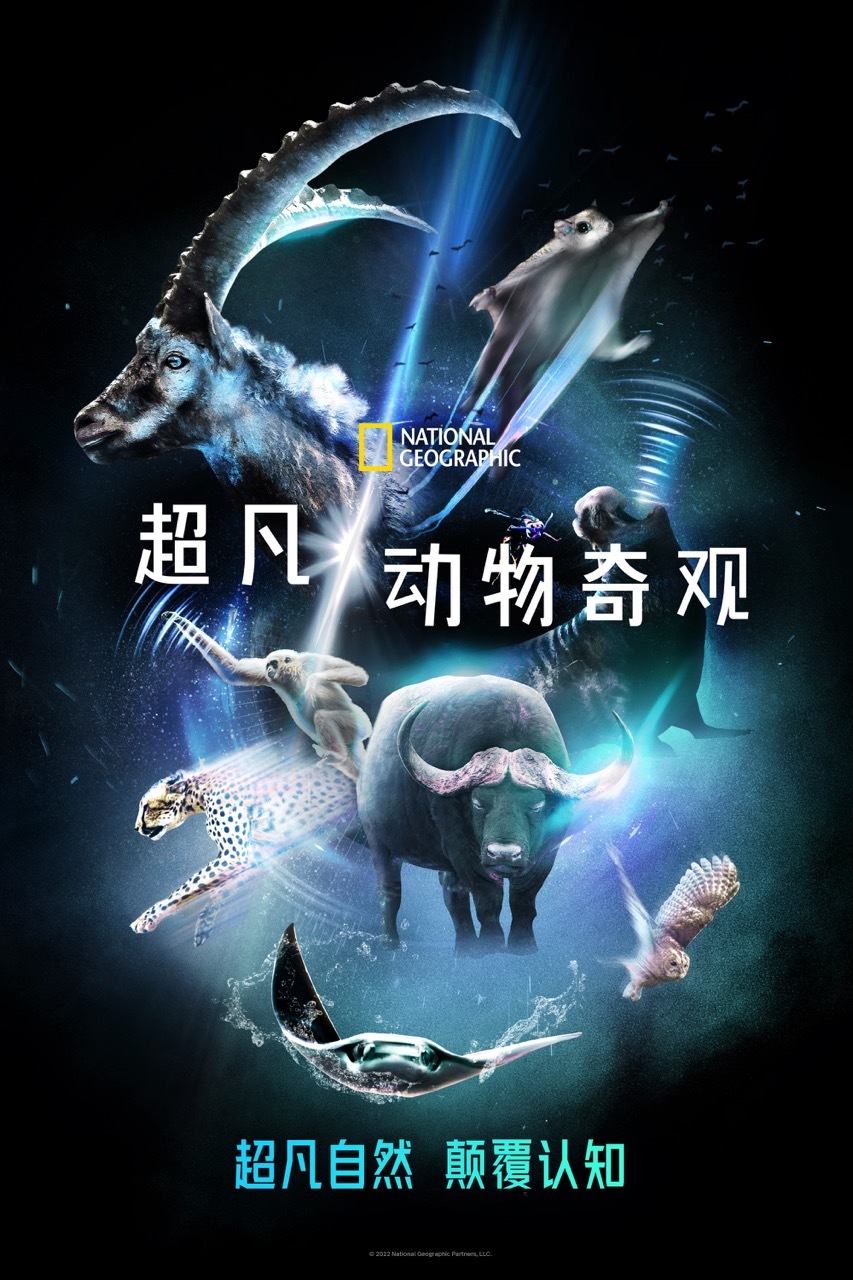 纪录片《超凡动物奇观》中文版上线，叫孩子看起来​（孩子健康）超凡动物团，