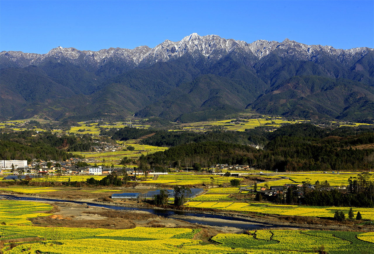 图为高黎贡山下的腾冲界头镇，春天油菜花盛开的图景。新华社发（刘正凡 摄）