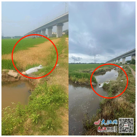 水稻田刚破坏和破坏一段时间后的对比
