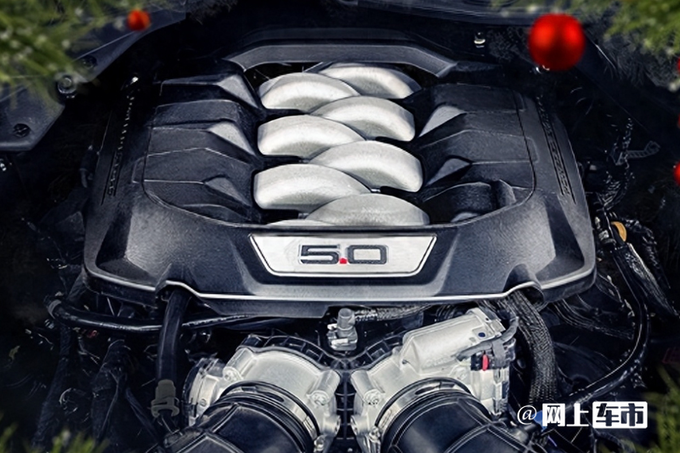 福特野马高性能版11月6日首秀搭5.0L V8引擎-图8