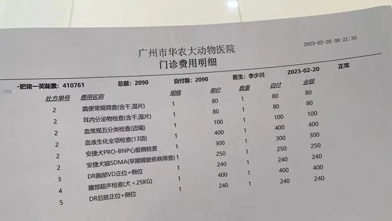 / 去体检的肥猪和心碎付款单