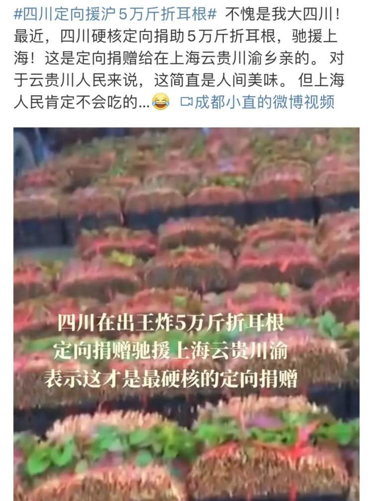 △四川定向援沪5万斤折耳根,被网友戏称为最硬核的捐赠。/@成都小直