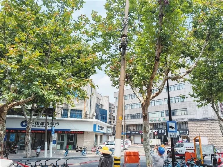 废弃线杆拔除现场 图源:湖州日报