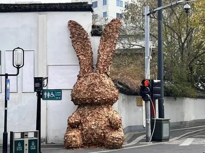 安静坐在杭州街角的落叶兔兔。