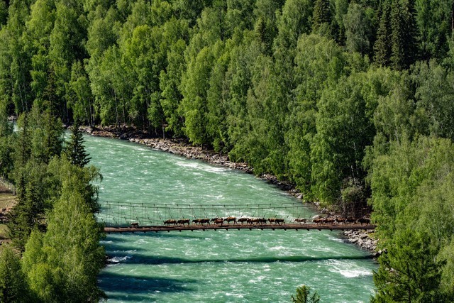 色彩、自然与人文的冲击 尼康Z 7Ⅱ一机三镜行摄大美新疆