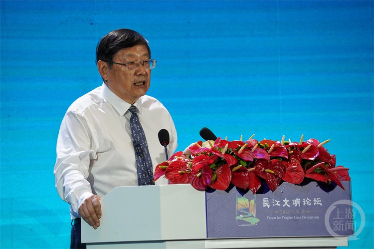 共话长江|王巍：巴渝文化的重要特点是坚韧和包容_凤凰网