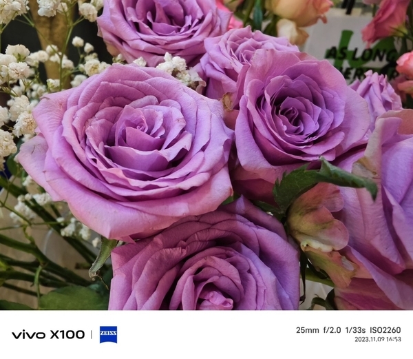 首发天玑9300旗舰芯,vivo X100带来满分旗舰体验