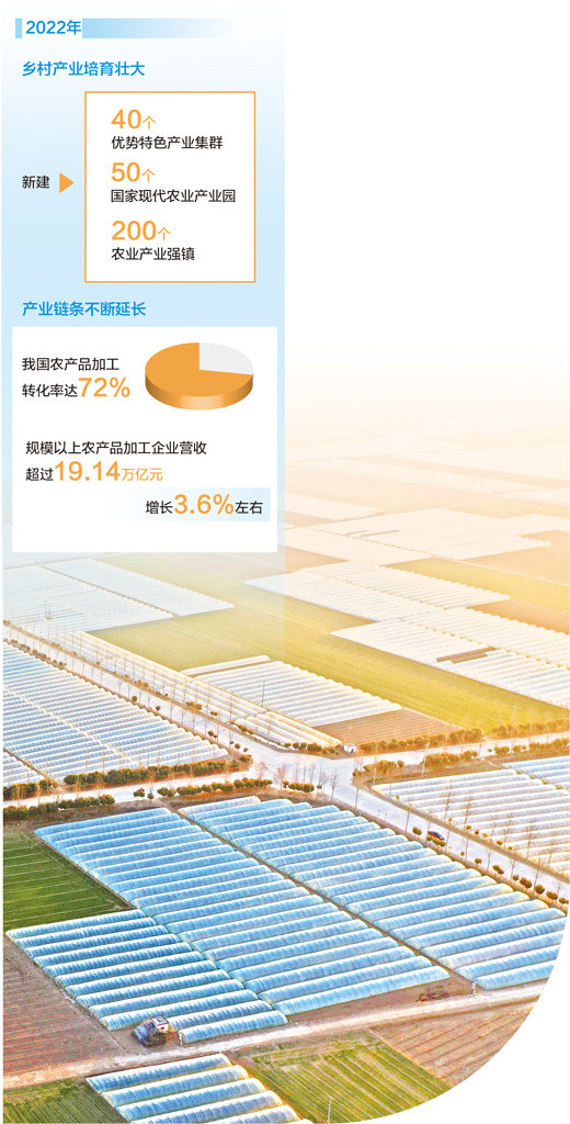 河南省孟州市现代农业产业园万亩韭菜种植基地。白水平摄（影像中国）