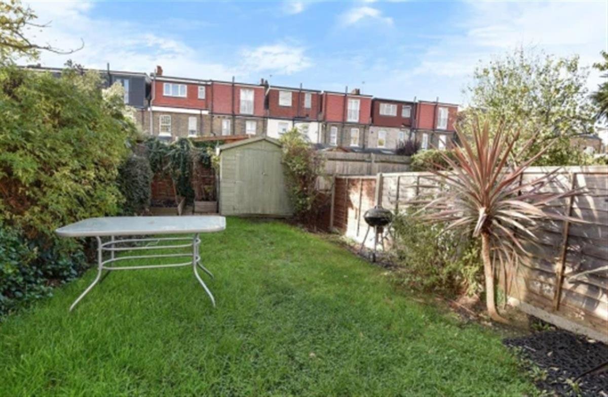 日本虎杖生长在棚子的右侧位置(图片来源:Metro)