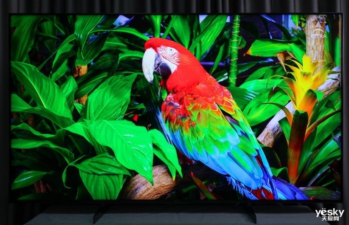旗舰Mini LED电视守门员 85英寸TCL Q10H评测