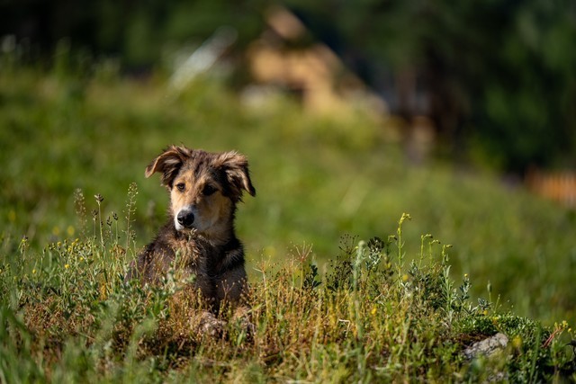 色彩、自然与人文的冲击 尼康Z 7Ⅱ一机三镜行摄大美新疆